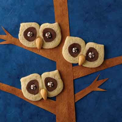 Brown-Eyed Owl Cookies