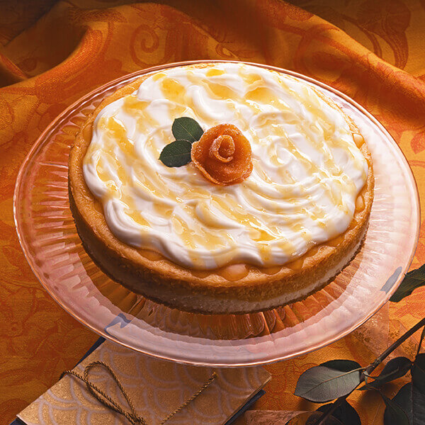 Apricot Cheesecake Recipe