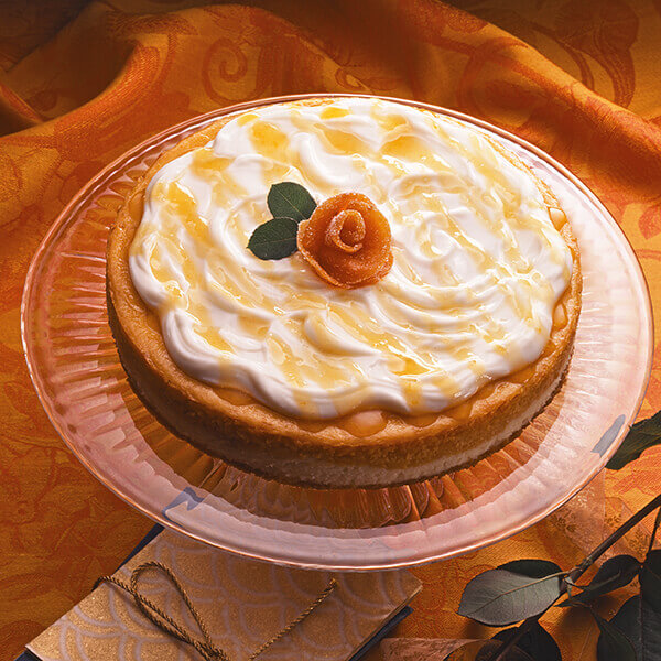 Apricot Cheesecake